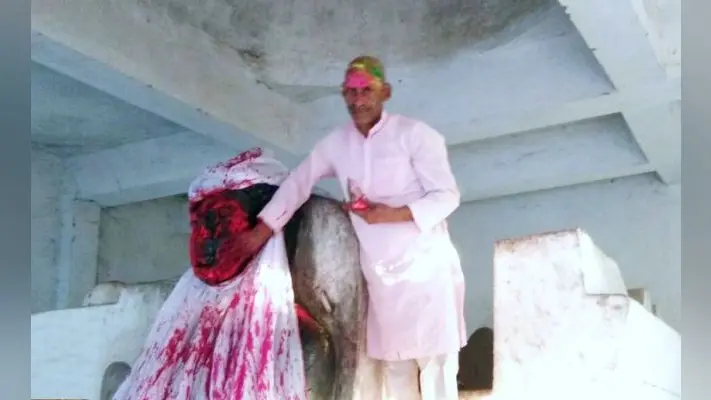 मगध में होली खेलने की परंपराएं आज भी कायम, …जानें कैसे खेलते हैं होली?