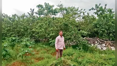 10 एकड़ में फैली साधुचरण की खेती