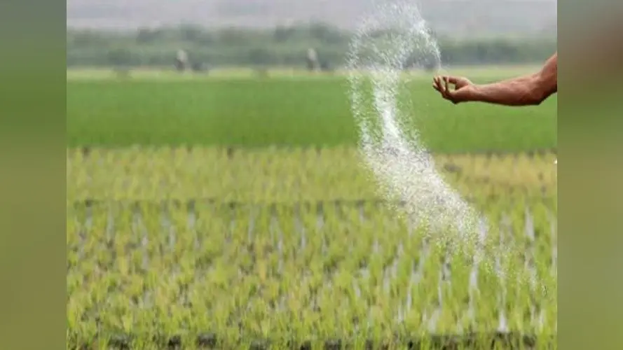 विश्व साक्षरता दिवस : साक्षरता दर बढ़ाने में बड़कागांव प्रखंड को राज्य में अव्वल दर्जा