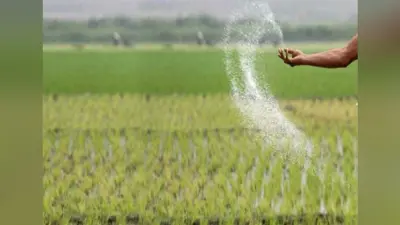 विश्व साक्षरता दिवस : साक्षरता दर बढ़ाने में बड़कागांव प्रखंड को राज्य में अव्वल दर्जा