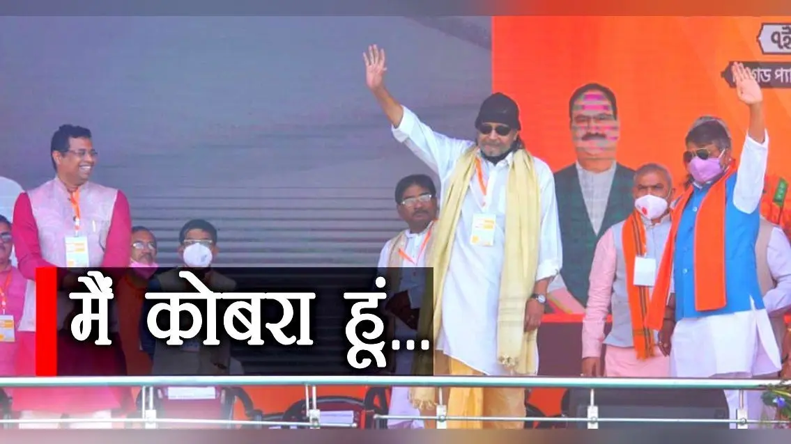 असम में मिले किंग कोबरा का मिथुन चक्रवर्ती से कनेक्शन, Twitter पर यूजर्स की गुहार- ‘रिलीज Mithun सर….’