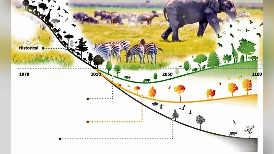 Living Planet Report 2020 : संकट में है जीवों का अस्तित्व, पांच दशक में 68 प्रतिशत जैव-विविधता नष्ट