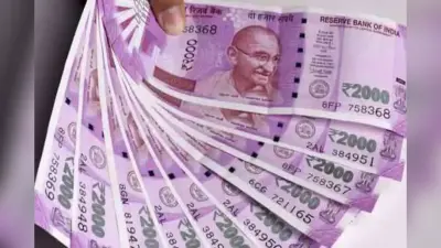 Video: एक हजार रुपए की कीमत को कम न आंके, इसकी ताकत से हैरान हो जायेंगे आप, जानिए क्या कहते हैं एक्सपर्ट