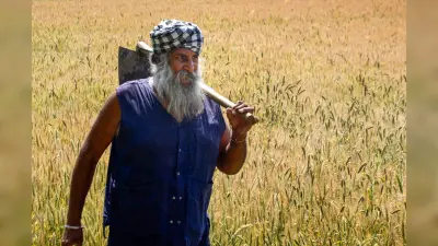 PM Kisan Updates: ऐसे किसानों की अटक सकती है 12वीं किस्त, जानें कब तक खाते में आएंगे पैसे