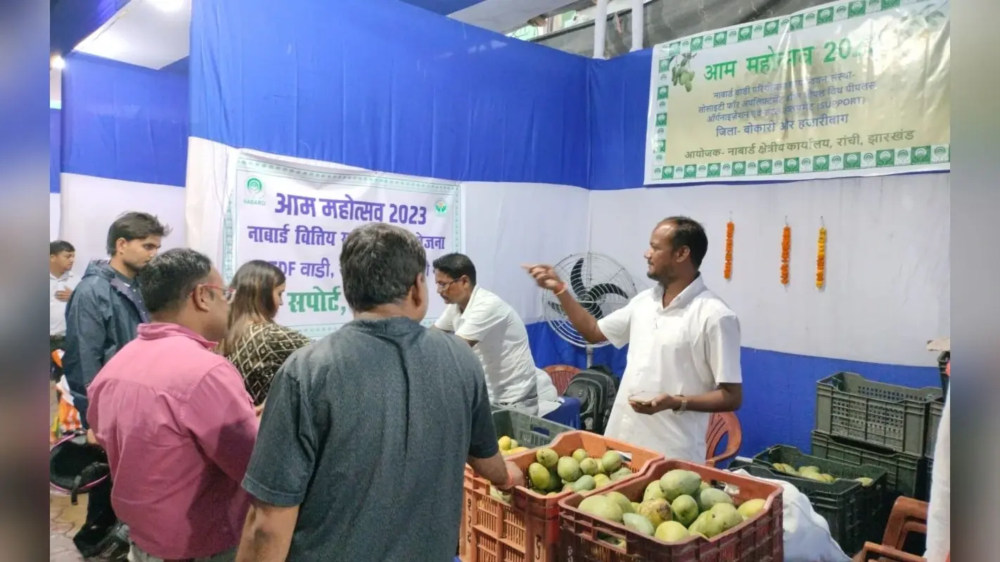 PHOTOS: रांची में आम महोत्सव, मिल रहा ‘केमिकल फ्री’ आम, जानें खासियत
