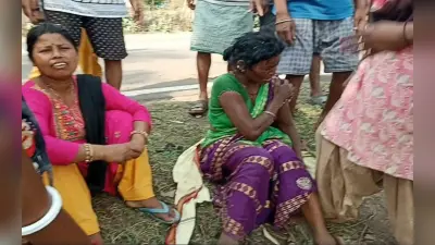 सरायकेला में ऑटो पलटने से चालक समेत 15 महिला मजदूर घायल, दो की स्थिति गंभीर