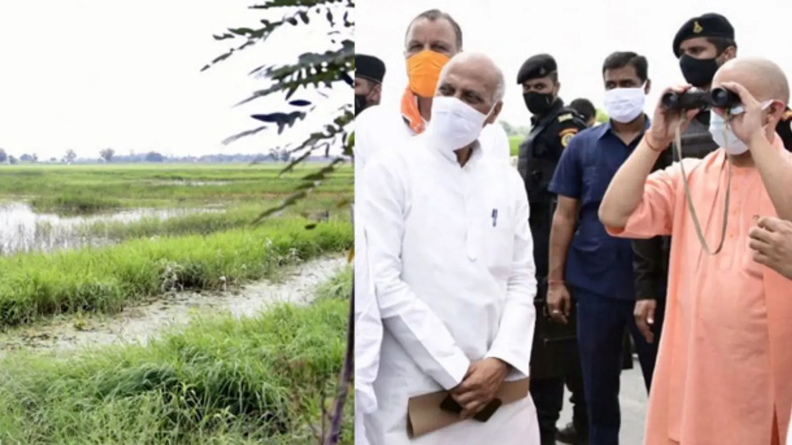 यूपी को भी मिलेगा आयुष का लाभ, सीएम योगी के क्षेत्र में बनेगा पहला विश्वविद्यालय, राष्ट्रपति करेंगे शिलान्यास