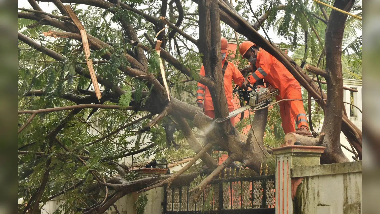 Cyclone Nivar Latest News : चक्रवाती तूफान निवार ने ली 3 की जान, 3 घायल 101 झोपड़ियां क्षतिग्रस्त
