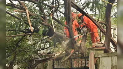 Cyclone Nivar Latest News : चक्रवाती तूफान निवार ने ली 3 की जान, 3 घायल 101 झोपड़ियां क्षतिग्रस्त