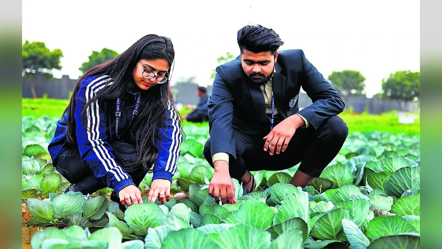 Career in Agriculture: एग्रीकल्चर सेक्टर में बनाना चाहते हैं अपना करियर, तो ऐसे करें तैयारी