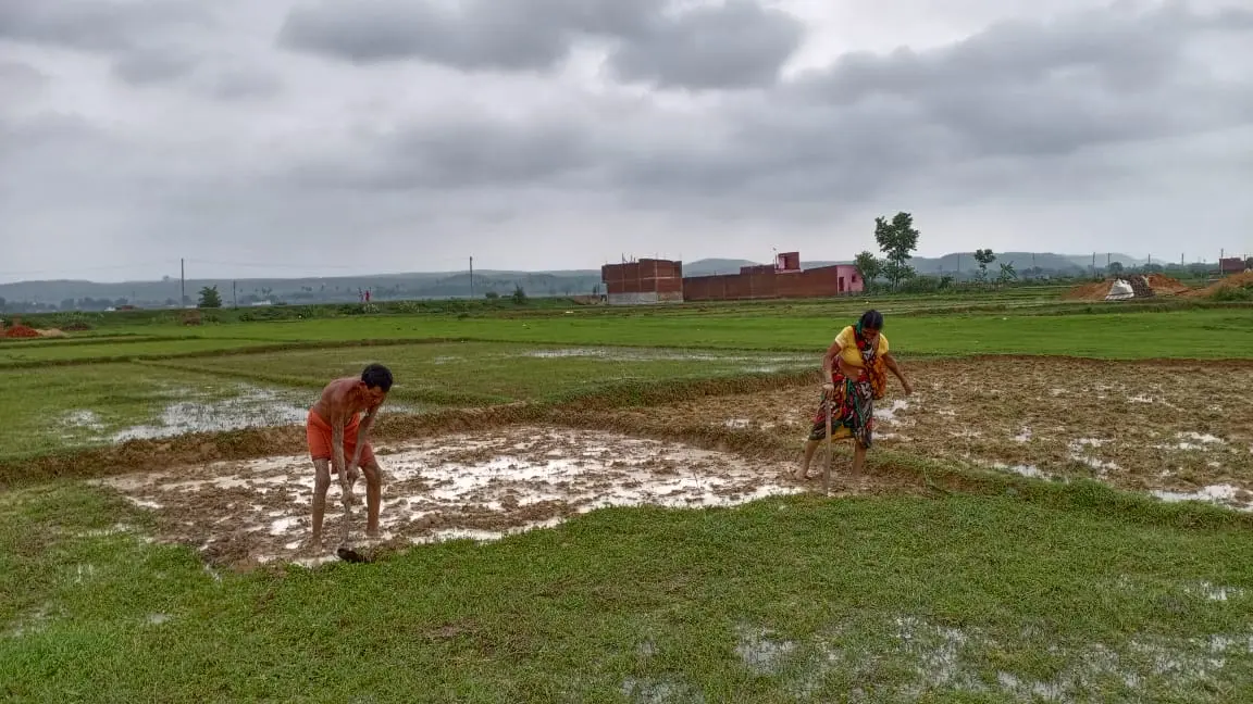 बिहार में हर ब्लाक के किसान अब सीखेंगे खेती का ककहरा, छह सप्ताह का होगा कोर्स