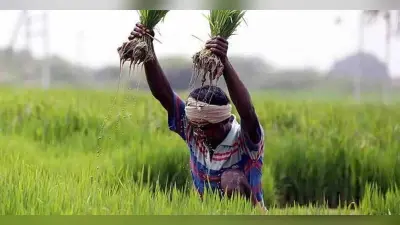 बजट में कृषि क्षेत्र के विकास के लिए अतिरिक्त धन और प्रोत्साहन देने की जरूरत, विशेषज्ञों ने सरकार को दिया सुझाव
