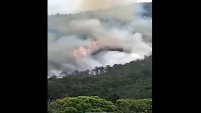 चीन में विमान दुर्घटनाग्रस्त, 133 यात्री थे सवार, पहाड़ में लगी आग, इलाके में फैला धुआं