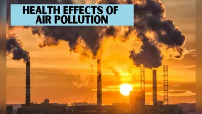Health Update: वायु प्रदूषण खुले में काम करने वालों के स्वास्थ्य पर डाल रहा है प्रतिकूल प्रभाव: अध्ययन