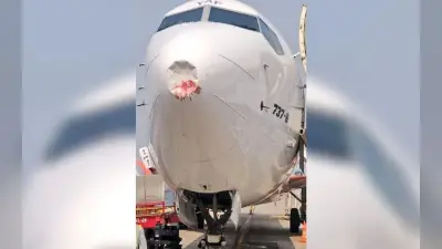 Akasa Air Flight: पक्षी की चपेट में आयी Akasa Air की फ्लाइट, लैंडिंग के बाद विमान में दिखा डैमेज