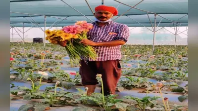 लोहरदगा के अखिलेश एक एकड़ जमीन में उगाते हैं कई किस्म के फूल, पश्चिम बंगाल से लेकर ओडिशा तक है बाजार