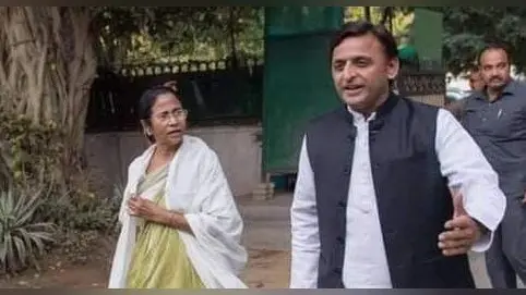 Bengal Chunav 2021 में Akhilesh Yadav ने दिया ममता बनर्जी को समर्थन, फिर भी बंगाल की इस सीट से चुनाव लड़ेगी सपा, जानें वजह