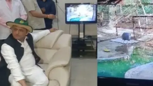 यूपीः सारस से मिलने कानपुर चिड़ियाघर पहुंचे अखिलेश यादव, बोले- मैं जिससे मिलता हूं, उसे सरकार भेज देती है जेल
