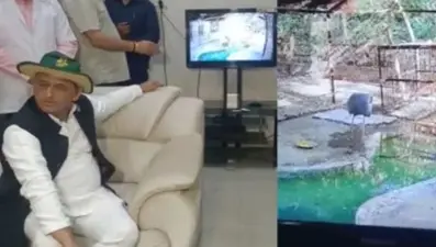 यूपीः सारस से मिलने कानपुर चिड़ियाघर पहुंचे अखिलेश यादव, बोले- मैं जिससे मिलता हूं, उसे सरकार भेज देती है जेल