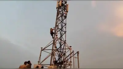 अलीगढः मोबाइल टावर में फंसे कौवे का रेस्क्यू अभियान चलाकर बचाई गई जान, मेनका गांधी का आया था फोन