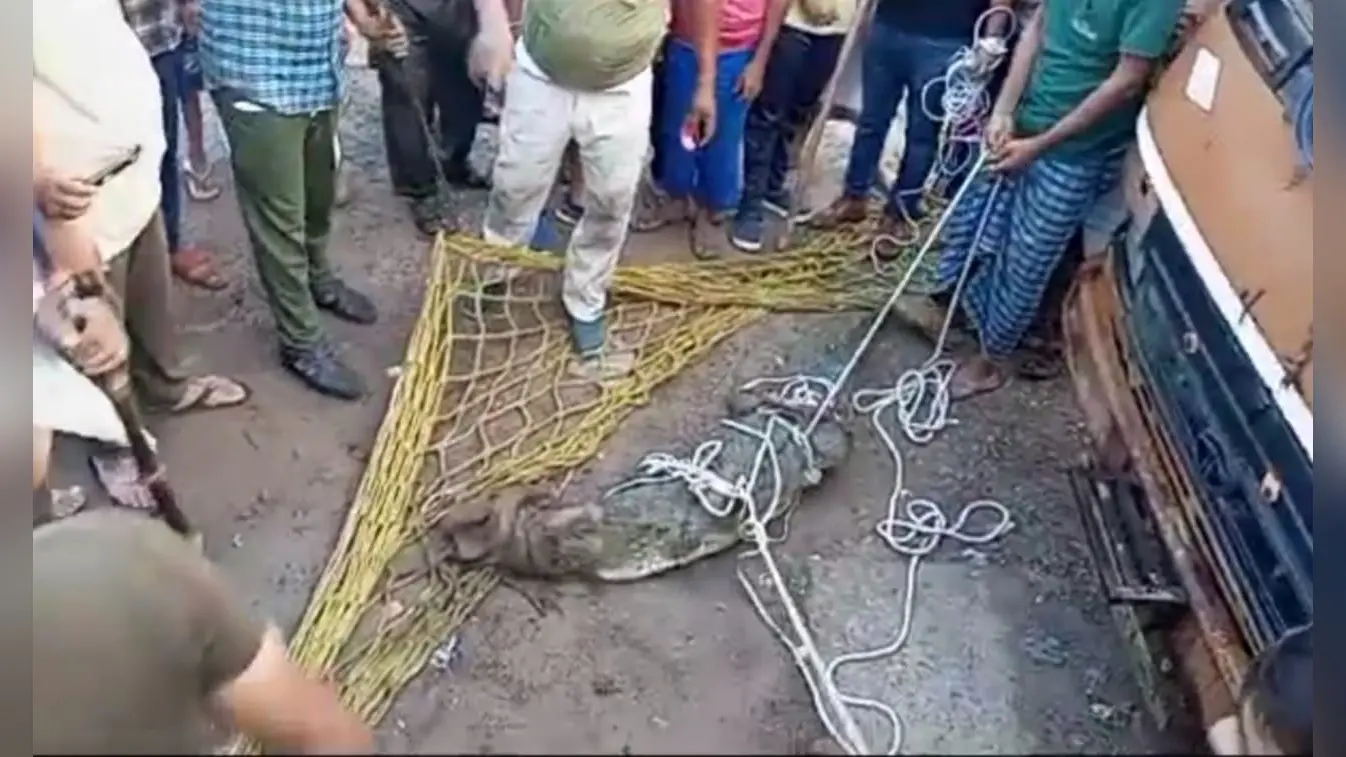 Aligarh News: बोर्ड रिजल्ट का डर था या सेल्फी लेने के चक्कर में मॉल की चौथी मंजिल से गिरी छात्रा?