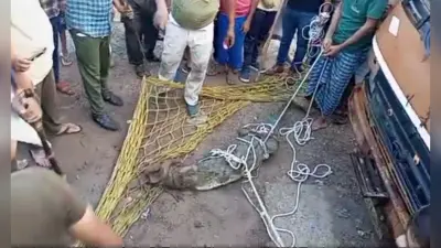 Aligarh News: बोर्ड रिजल्ट का डर था या सेल्फी लेने के चक्कर में मॉल की चौथी मंजिल से गिरी छात्रा?