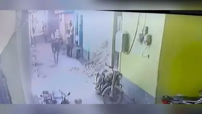 अलीगढ़ में क्रूरता की हदें पार, कुत्ते को बेरहमी से पीट-पीटकर मौत के घाट उतारा, वीडियो हुआ वायरल