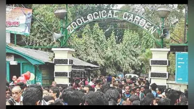 कोलकाता के अलीपुर चिड़ियाघर में दर्शकों की संख्या में कोई कमी नहीं आयी