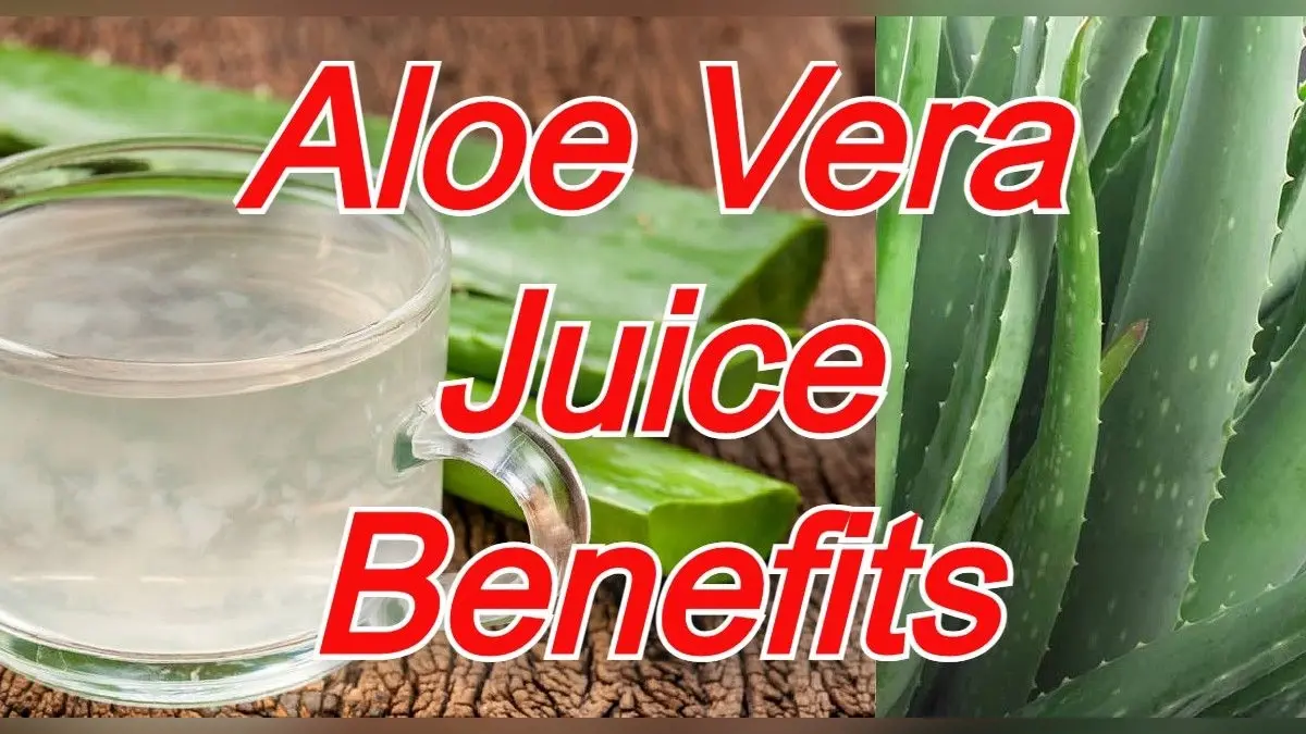 Aloe Vera Juice Benefits: एलोवेरा जूस पीने के हैं अनगिनत फायदे, इसे पीने का सही तरीका जान लें