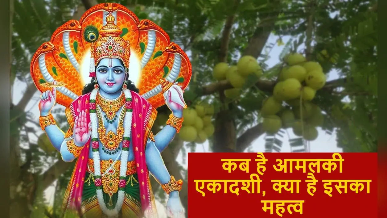 Amalaki Ekadashi 2023: आमलकी एकादशी आज, व्रत कर रहे तो जान लें पारण का सही समय, पूजा विधि और महत्व जानें