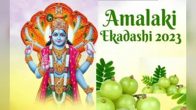 Amalaki Ekadashi 2023: आमलकी एकादशी पर आंवला वृक्ष की पूजा का है खास महत्व, पूजा विधि, पारण का समय जानें