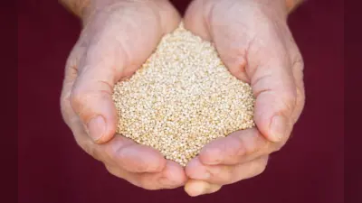 National Nutrition Week 2023 : फाइबर से भरपूर प्रोटीन का पावरहाउस है ये सुपरफूड, फायदे देख दंग हो जाएंगे