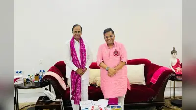 Chhattisgarh Election 2023: राहुल गांधी की तारीफ करने के बाद चंद्रशेखर राव के पास पहुंचे अमित जोगी