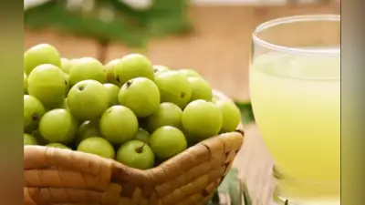 Amla Benefits: इन 6 तरीकों से करें आंवले का प्रयोग, जानें पेट संबंधित रोग से वजन कम करने और कैंसर तक में कितना है लाभदायक