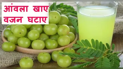 Weight Loss Drink: वजन कम करना हो तो पीजिए आंवले का जूस, इम्युनिटी को इम्प्रूव करने में भी है फायदेमंद