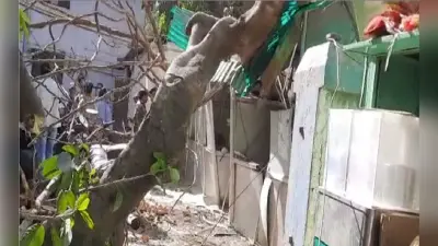 PMCH इमरजेंसी वार्ड के पास गिरा पेड़, रजिस्ट्रेशन काउंटर ध्वस्त, कई लोग घायल