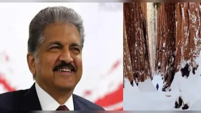 बड़ी से बड़ी मुश्किल से लड़ने का हौसला देगा ये Video, एक बार जरूर देखें