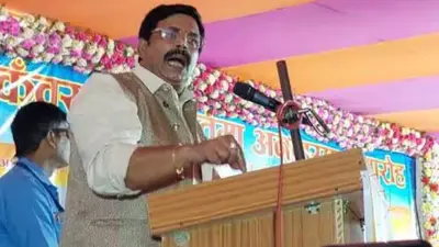 लोकसभा चुनाव से पहले आनंद मोहन को मिली अच्छी खबर, इस मामले में किए गए बरी