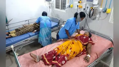 आंध्र प्रदेश: चित्तूर के डेयरी यूनिट में अमोनिया गैस लीक, 20 लोग अस्पताल में भर्ती