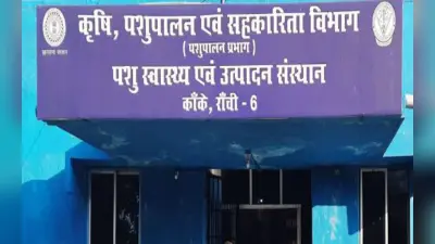 झारखंड : 10 साल से बन रहा है पशुपालन विभाग का वैक्सीन लैब, एनडीडीबी ने मानक के अनुरूप नहीं बताया