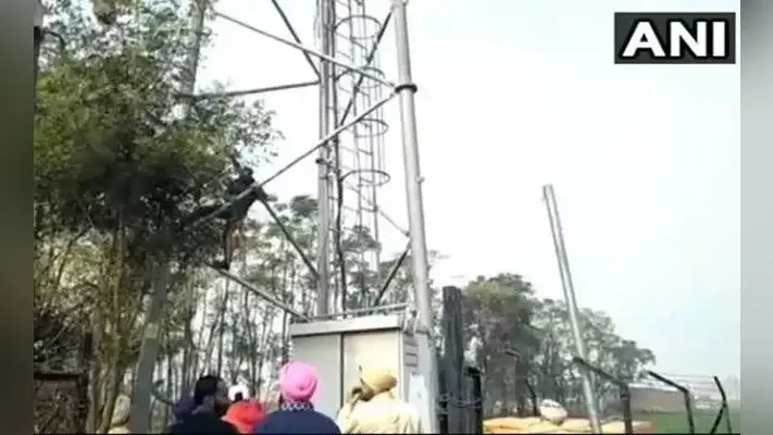 Farmers Protest : पंजाब में किसानों के निशाने पर मोबाइल टावर, जानिए आम लोगों को क्या हो रही परेशानियां