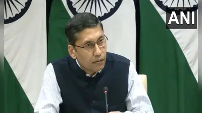 ‘हमारी संप्रभुता का सम्मान करें’, भारत ने पाक में अमेरिकी राजदूत के पीओके दौरे पर जताई चिंता