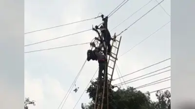 भागलपुर में तार जोड़ने में हुई देरी पर लोगों ने लाइनमैन की पिटाई की, विद्युत कर्मी ने इस तरह लिया बदला
