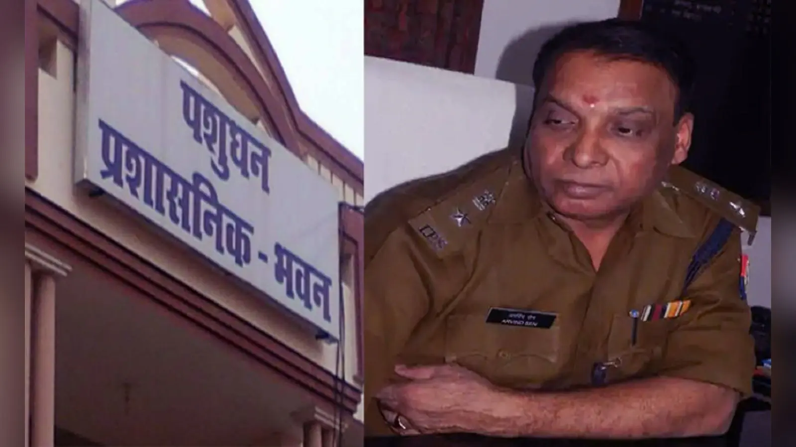 हाई कोर्ट: पशुपालन घोटाले में पूर्व IPS अफसर अरविंद सेन को जमानत, जमा करने होंगे गबन के 20 लाख, जानें प्रकरण