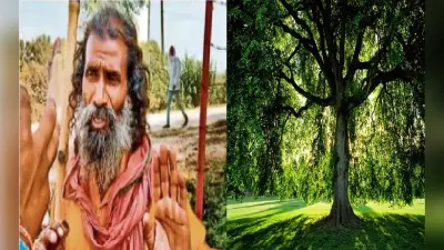 रोहतास के पेड़ वाले बाबा को जहां मिली खाली जमीन लगा दिये पौधे, अब तक लगा चुके हैं एक लाख से अधिक पौधे