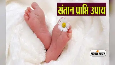 Santan Prapti ke Jyotish Upay: संतान प्राप्ति में आ रही बाधा को ऐसे करें दूर, सूनी गोद जल्द भर जाएगी