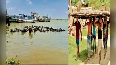 रश्मि देसाई की तस्वीर के दीवाने हुए फैंस, इंटरनेट पर फोटो वायरल
