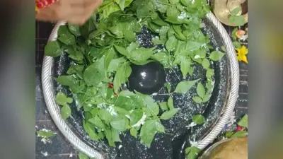 Sawan Somwar 2021: आज है सावन मास की दूसरी सोमवारी, जानें शुभ मुहूर्त, पूजा विधि, मंत्र, आरती और पूजन सामग्री