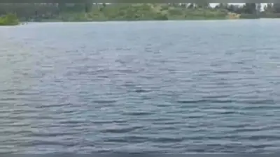 Jharkhand News: गढ़वा के बभनी खाड़ डैम में हादसा, मछली मारने गये नाबालिग समेत 4 युवकों की हुई मौत