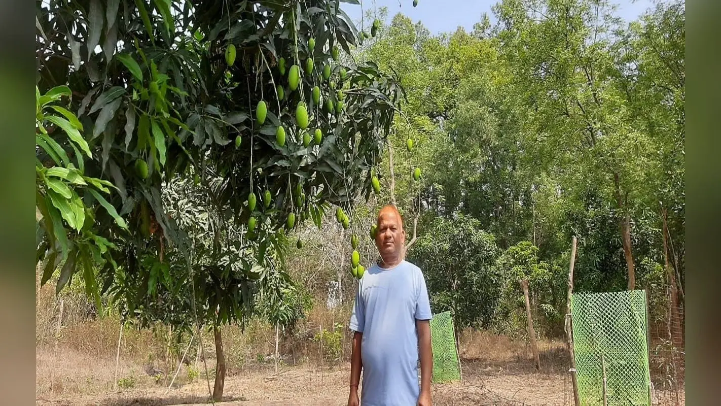झारखंड: बेकार जमीन पर छायी हरियाली, आम और सब्जी की जैविक खेती से जीवन संवार रहे चंद्रमोहन